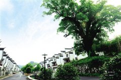 澳门永利赌场:跨进村口就忍不住夸赞